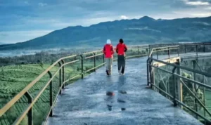 Menaklukkan Keajaiban di Nimo Sky Bridge, Tantangan Berjalan di Atas Jembatan Kaca yang Mempesona
