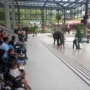World Elephant Day 2023, Taman Safari Bogor Ajak Pengunjung Lestarikan Hutan dan Lindungi Gajah Lewat Teater