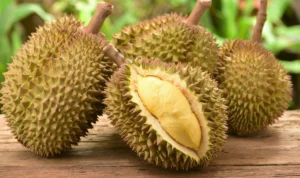 Manfaat Buah Durian: Lezat dan Penuh Kesehatan