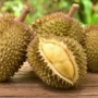 Manfaat Buah Durian: Lezat dan Penuh Kesehatan
