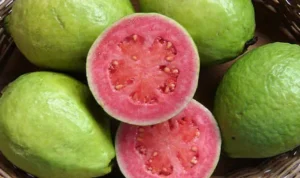 Manfaat Buah Jambu bagi Kesehatan yang Terkandung dalam Setiap Gigitan