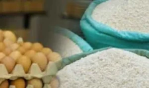 Siap-Siap Besok Cair, Daftar Penerima Bansos Beras Telur dan Ayam Bisa di Cek di Sini Ilustrasi bantuan beras telur dan ayam yang bisa cair mulai besok Senin 11 September 2023.