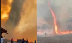 Penampakan tornado api yang terjadi saat Kebakaran di Bromo berlangsung.