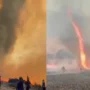 Penampakan tornado api yang terjadi saat Kebakaran di Bromo berlangsung.