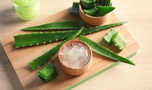 5 Cara Ampuh Agar Cantik Alami dengan Lidah Buaya dan Jeruk Nipis, Bangun Tidur Dijamin Glowing!