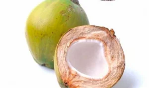 Manfaat Air Kelapa untuk Kesehatan Tubuh Mampu Menurunkan Berat Badan manfaat air kelapa
