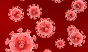 virus nipah