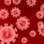 virus nipah