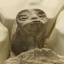 jasad alien
