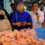 Pemerintah Cairkan Bansos Ayam dan Telur di Bulan September 2023