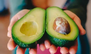 manfaat buah alpukat