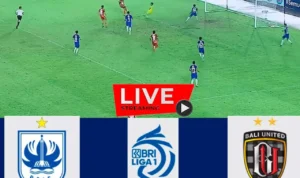 Link Live Streaming PSIS vs Bali United BRI Liga 1, Ayo Nonton! Link Live Streaming PSIS vs Bali United BRI Liga 1, Ayo Nonton!