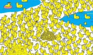 Teka Teki Gambar: Temukan Anak Ayam dalam Waktu 8 Detik Jika Kamu Cerdas!