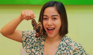 farida nurhan dan codeblu