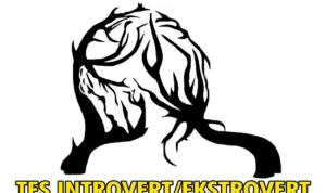 Tes Gambar, Apakah Kamu Introvert atau Ekstrovert