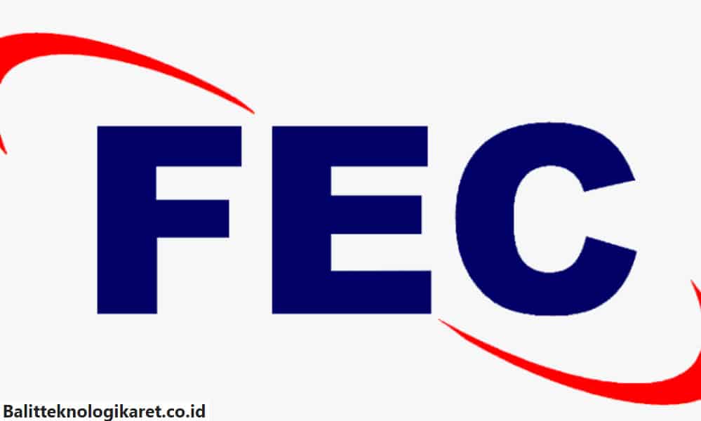 Viral! Aplikasi Penghasil Uang FEC Mampu Hasilkan Uang Secara Cepat ...