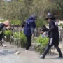 BRI telah sukses melakukan penanaman puluhan ribu pohon Mangrove di berbagai pesisir pantai yang ada di Indonesia.