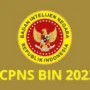 CPNS BIN 2023