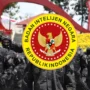 Dokumen Persyaratan CPNS 2023 BIN, Daftar Sekarang!