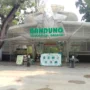 Dukung Pengambilan Lahan Kebun Binatang, Sejumlah Pihak minta Pemkot Bandung Laporkan YMT ke Kejati Jabar