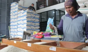 Pegawai memeriksa kualitas beras di salah satu distributor beras Kota Bandung. (Pandu/Jabarekspres)