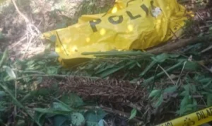 jasad dan tulang belulang pun telah dibawa tim inafis Polres Cimahi dan belum diketahui identitasnya. Rabu (27/9). Foto Kades Gununghalu
