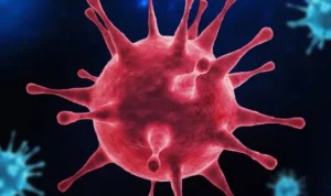 Ancaman 'Penyakit X' Virus Baru yang Lebih Mematikan dari Covid-19 Ancaman baru Penyakit X yang Lebih Mematikan dari Covid-19