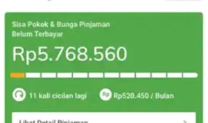 Pinjaman Cepat Pinjam Tenang (Pinang) dari Bank BRI