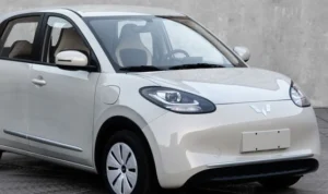 Wuling Bingo Terbaru jadi Penantang Neta V