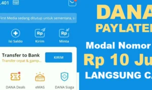 Pinjaman Kilat Bareng DANA Paylater
