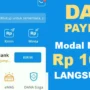 Pinjaman Kilat Bareng DANA Paylater