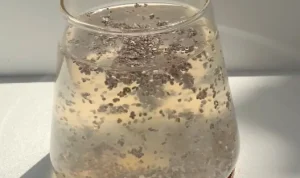 minuman penurun berat badan