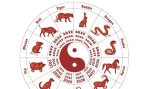 Ramalan Shio untuk Bulan September 2023 Ini! Ramalan Shio Oktober 2023