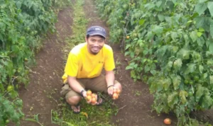 BRI Group Berikan Kemudahan Pinjaman Modal dan Pelatihan Melalui UMi Keberadaan pembiayaan Ultra Mikro (UMi) yang di gagas oleh BRI, PT Pegadaian dan PT Permodalan Nasional Madani (PNM) telah memberikan manfaat