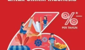 Bank BRI Buka KUR Sampai Rp 40 Juta untuk Generasi Muda