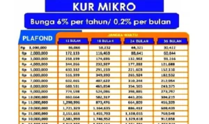 Syarat dan Tips Pengajuan KUR BRI 2023