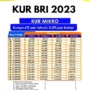 Syarat dan Tips Pengajuan KUR BRI 2023