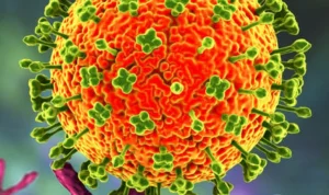 Virus Nipah Jadi Ancaman
