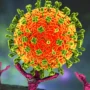 Virus Nipah Jadi Ancaman