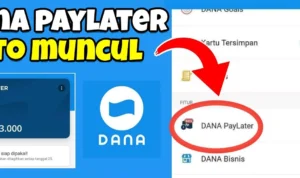 Pinjaman dana paylater