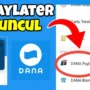 Pinjaman dana paylater