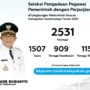 Formasi PPPK 2023 Pemda Kabupaten Tasikmalaya/ Instagram @sscasn.tasikkab