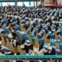 Viral di Media Sosial, Pendaftaran Seleksi CPNS 2023 Ternyata Ditunda!