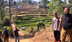 Rombongan Pemkab Sumedang saat meninjau pembangunan Jalan Desa Tegalmanggung yang diusulkan oleh warga setempat.