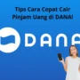 Cepat Cair, Ini Dia Cara Pinjam Uang di DANA