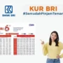 KUR BRI 2023, Syarat dan Kriteria Agar Cepat Cair!