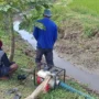 Sebanyak 255 Hektare (Ha) lahan sawah di Kecamatan Rancaekek, Kabupaten Bandung terancam kekeringan akibat dari dampak musim kemarau