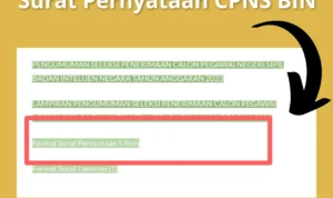 Surat Pernyataan CPNS BIN 2023/ Tangkap Layar Bin.go.id