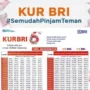 Cara Mengajukan KUR BRI 2023 Lewat HP, Mudah Bisa Ajukan di Rumah!