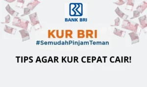 Ajuan KUR BRI 2023 Anda Ditolak? Simak di Sini Agar Ajuan Langsung ACC!